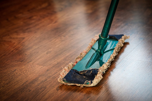 cleaning tips for pest control